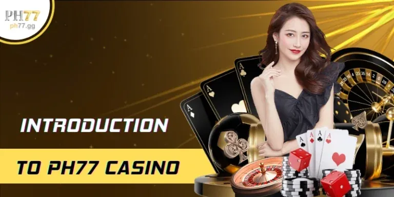 Hướng dẫn cho người mới bắt đầu tại sanclub casino