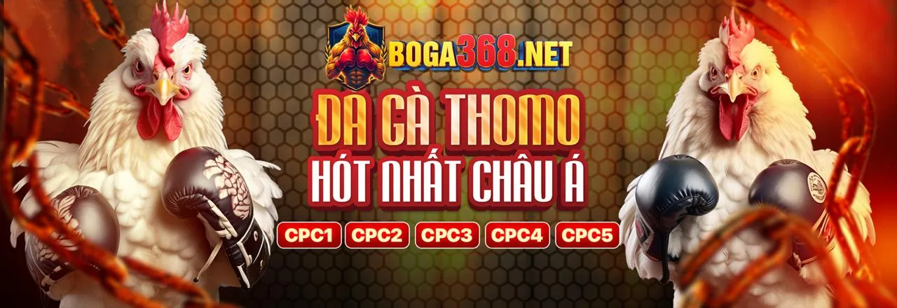 Rút tiền nhanh chóng tại Sanclub Casino