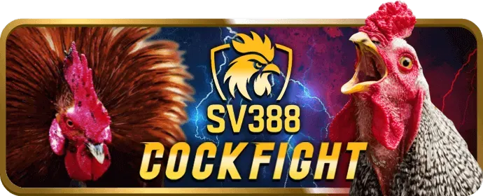 Mẹo chơi máy đánh bạc Sanclub Casino